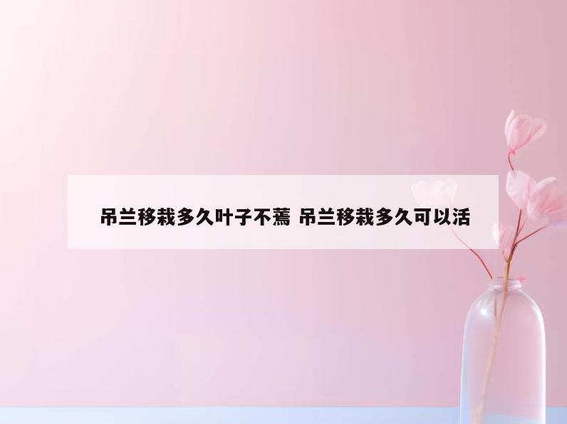 吊兰移栽多久叶子不蔫 吊兰移栽多久可以活