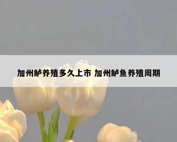 加州鲈养殖多久上市 加州鲈鱼养殖周期