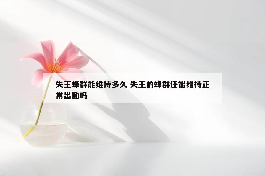 失王蜂群能维持多久 失王的蜂群还能维持正常出勤吗