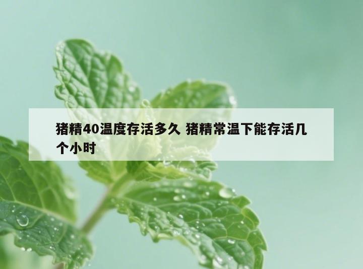 猪精40温度存活多久 猪精常温下能存活几个小时