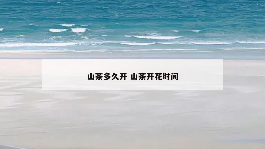 山茶多久开 山茶开花时间