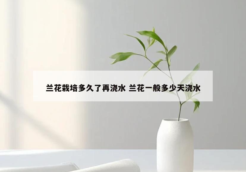 兰花栽培多久了再浇水 兰花一般多少天浇水