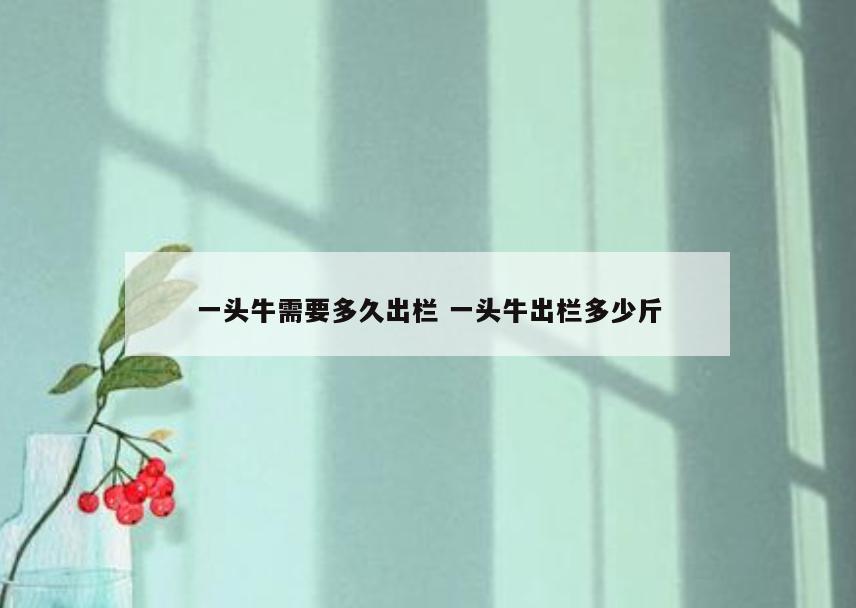 一头牛需要多久出栏 一头牛出栏多少斤