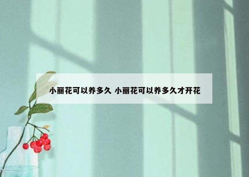 小丽花可以养多久 小丽花可以养多久才开花