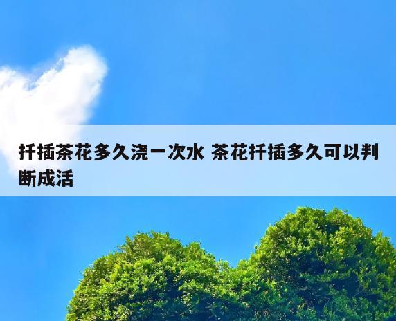 扦插茶花多久浇一次水 茶花扦插多久可以判断成活