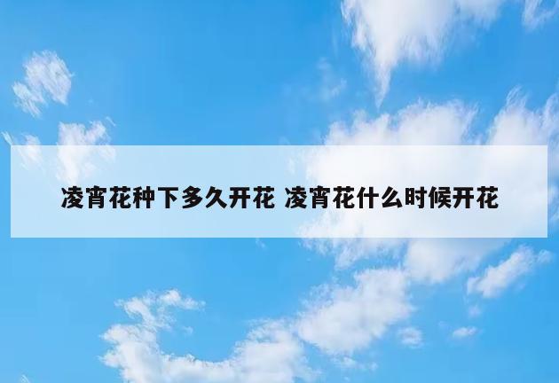 凌宵花种下多久开花 凌宵花什么时候开花
