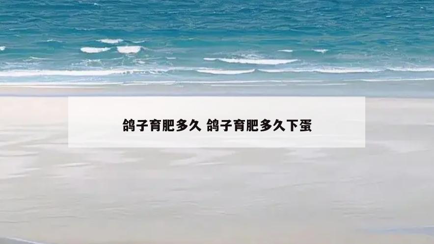 鸽子育肥多久 鸽子育肥多久下蛋