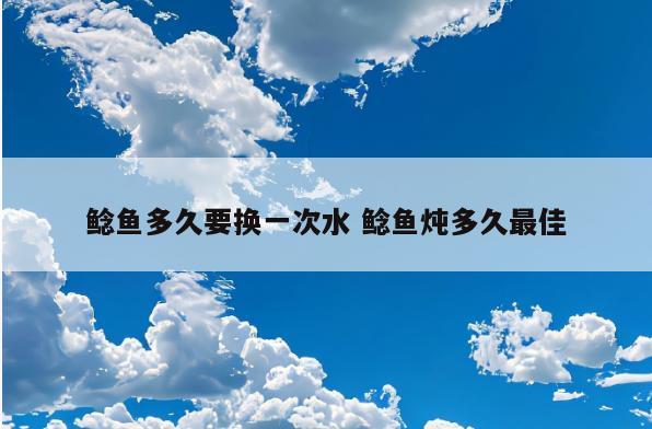 鲶鱼多久要换一次水 鲶鱼炖多久最佳