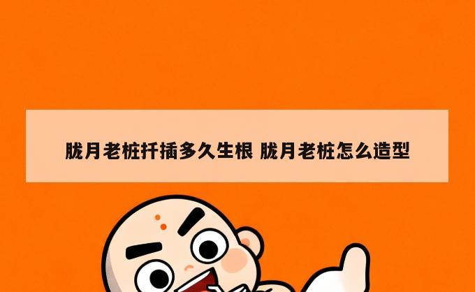 胧月老桩扦插多久生根 胧月老桩怎么造型