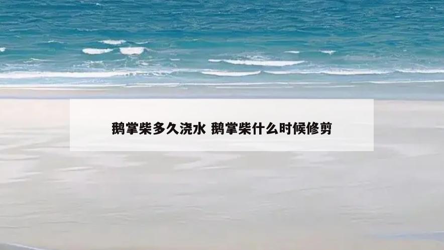 鹅掌柴多久浇水 鹅掌柴什么时候修剪
