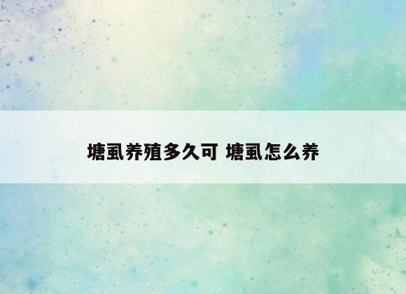 塘虱养殖多久可 塘虱怎么养
