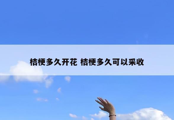 桔梗多久开花 桔梗多久可以采收