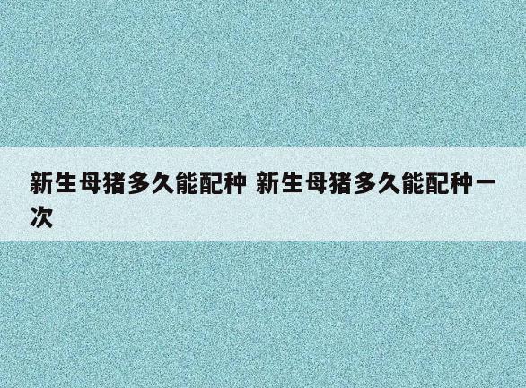 新生母猪多久能配种 新生母猪多久能配种一次