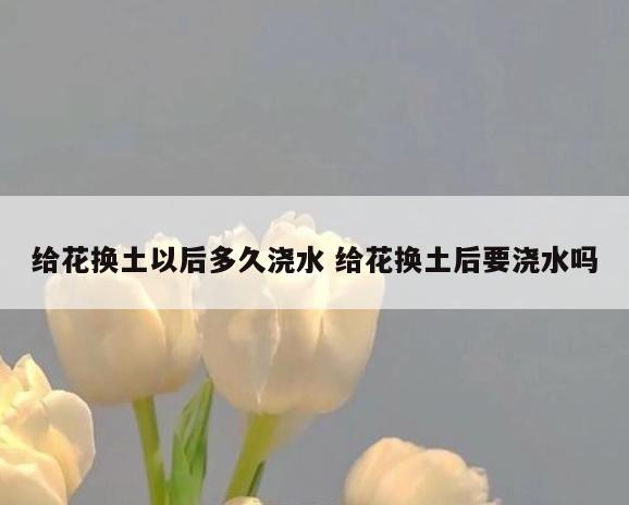 给花换土以后多久浇水 给花换土后要浇水吗