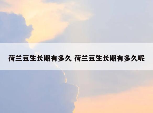 荷兰豆生长期有多久 荷兰豆生长期有多久呢
