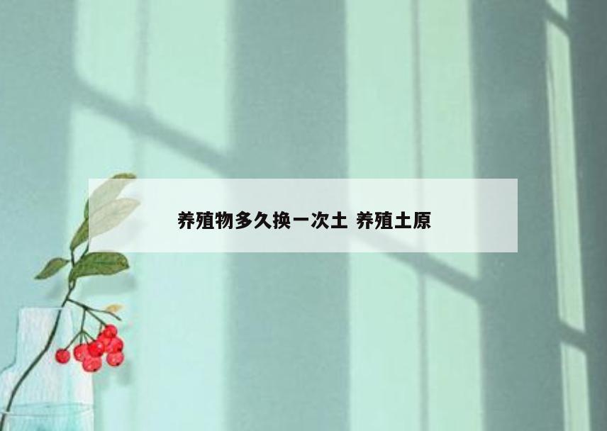 养殖物多久换一次土 养殖土原