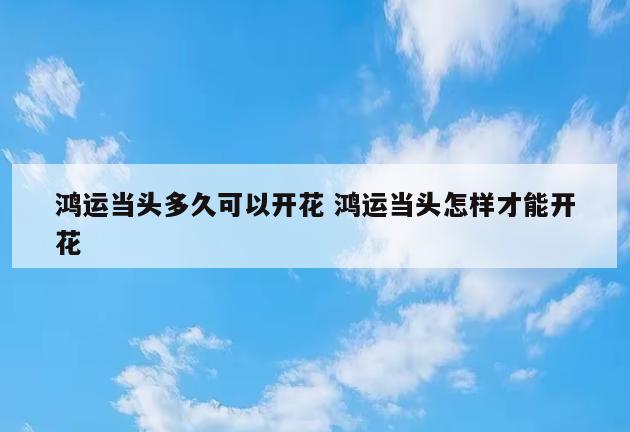 鸿运当头多久可以开花 鸿运当头怎样才能开花