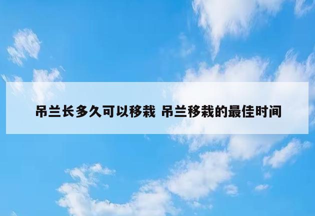 吊兰长多久可以移栽 吊兰移栽的最佳时间