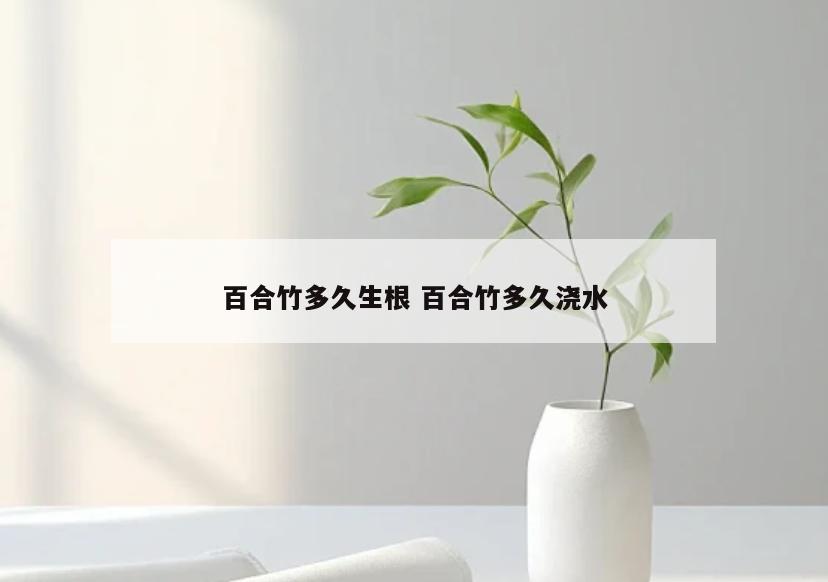 百合竹多久生根 百合竹多久浇水