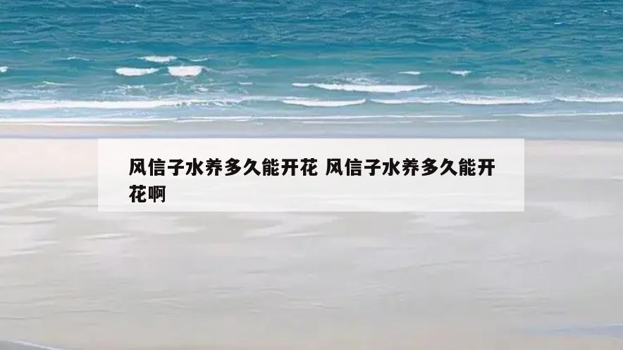 风信子水养多久能开花 风信子水养多久能开花啊