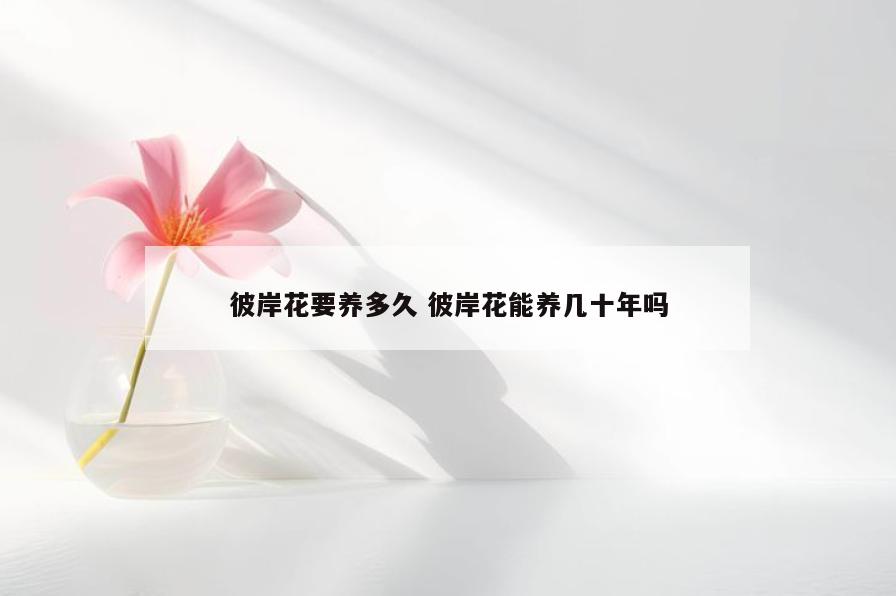 彼岸花要养多久 彼岸花能养几十年吗