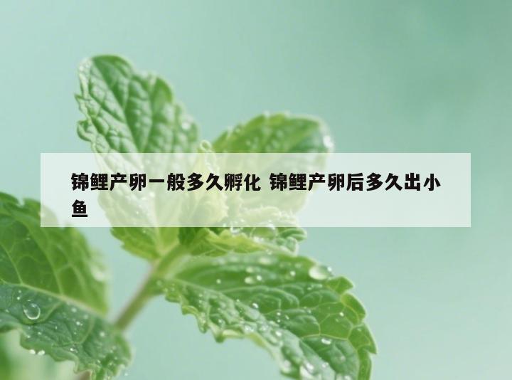 锦鲤产卵一般多久孵化 锦鲤产卵后多久出小鱼