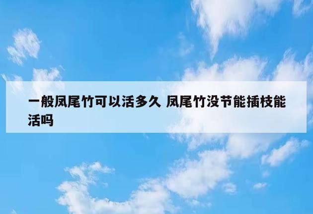 一般凤尾竹可以活多久 凤尾竹没节能插枝能活吗