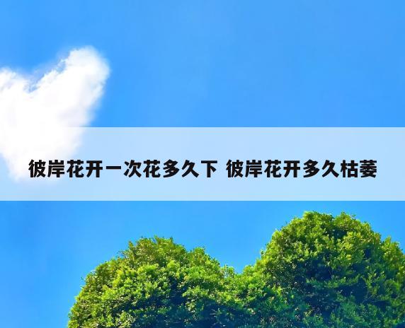 彼岸花开一次花多久下 彼岸花开多久枯萎