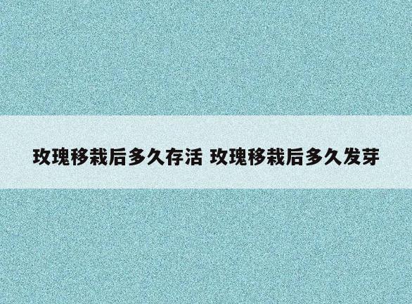 玫瑰移栽后多久存活 玫瑰移栽后多久发芽