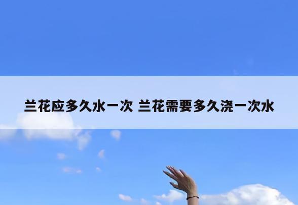兰花应多久水一次 兰花需要多久浇一次水