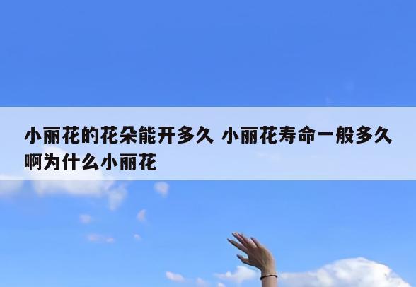 小丽花的花朵能开多久 小丽花寿命一般多久啊为什么小丽花