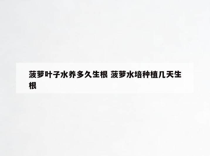 菠萝叶子水养多久生根 菠萝水培种植几天生根